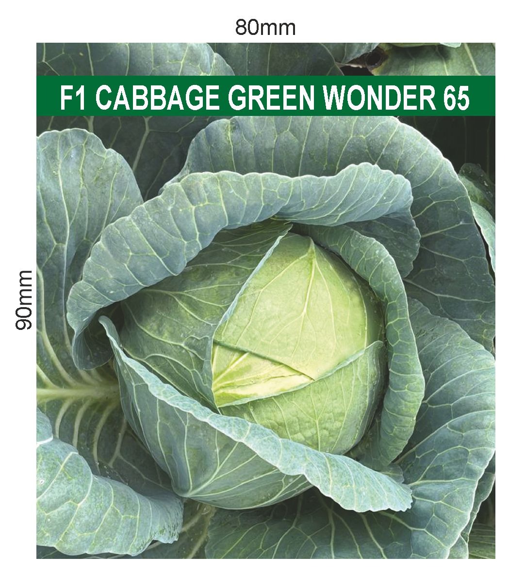 Green Wonder 65