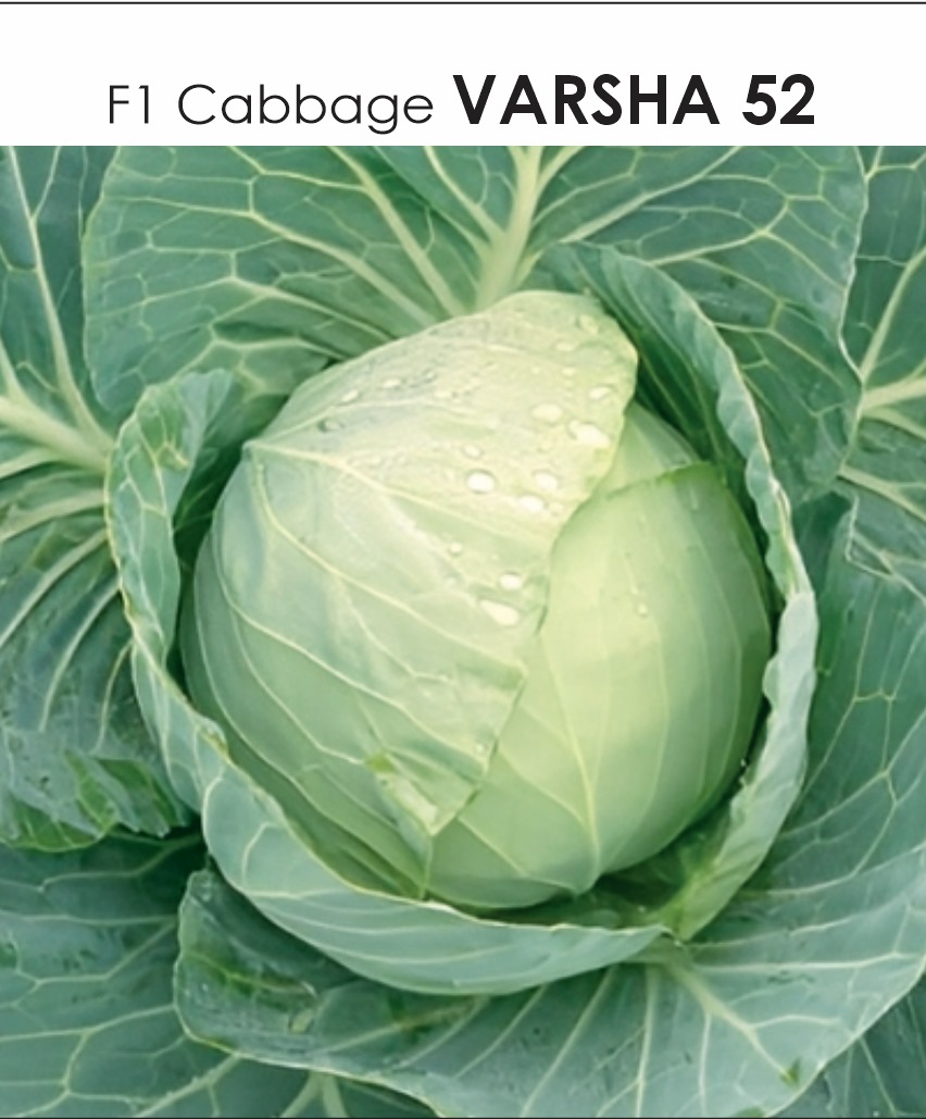 Varsha 52