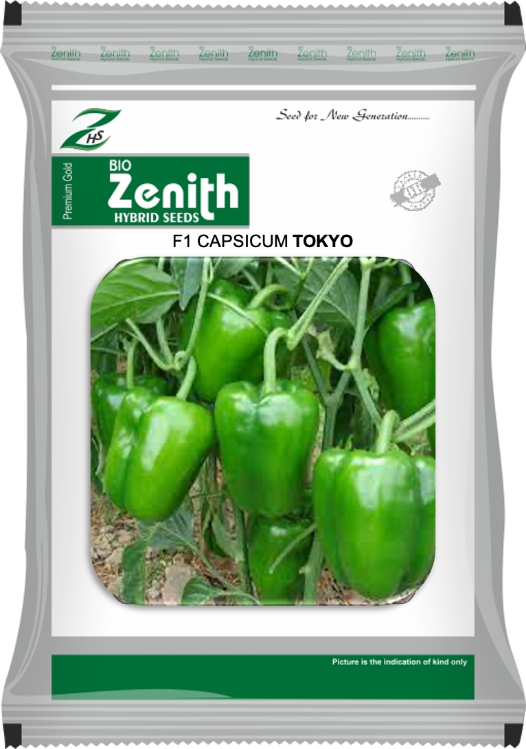 ZH 99