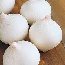 AKOLA WHITE