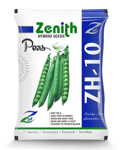 ZH 10