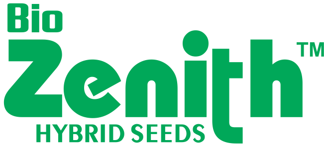 CHARVI 10