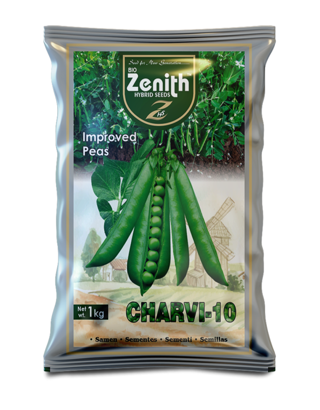 CHARVI 10