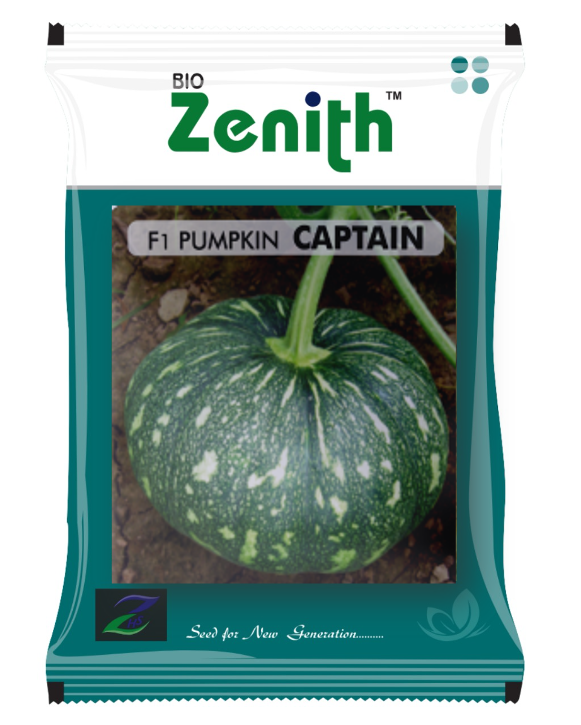 CAPTAIN