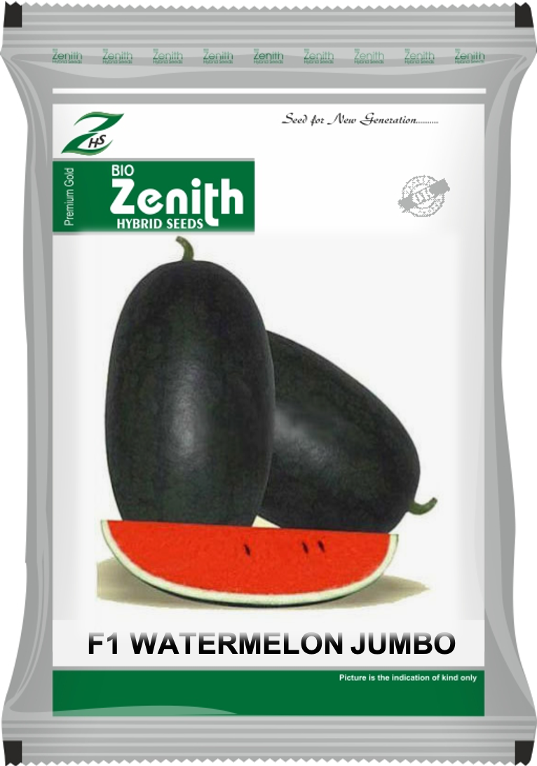 JUMBO